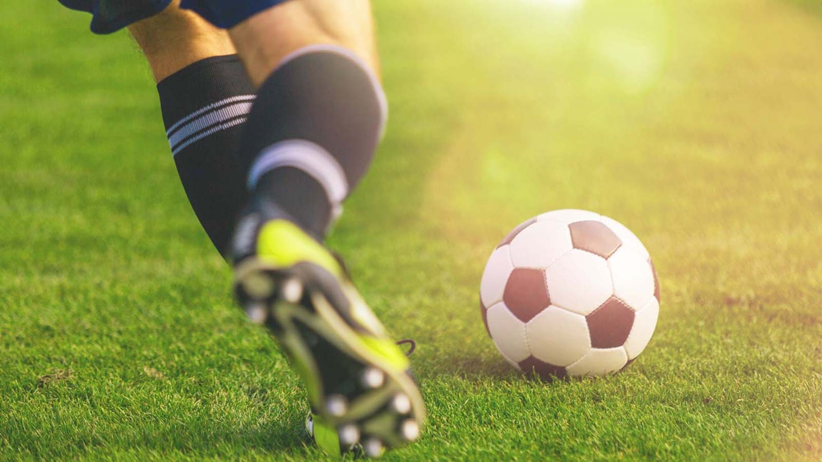 Sunshine Coast Wanderers Football Club