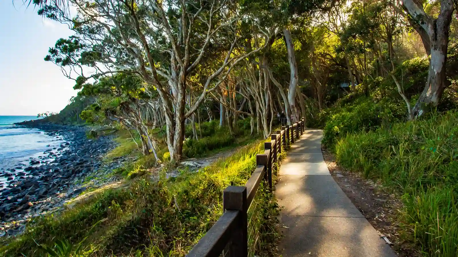 Noosa coastal pathway symbolising clear direction and financial planning for Sunshine Coast small businesses in 2026.