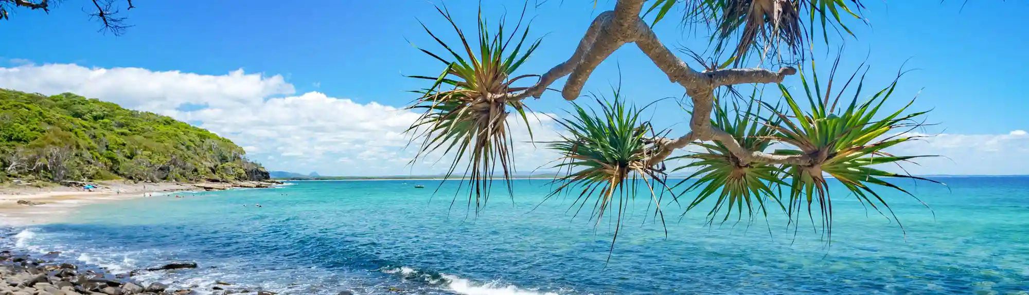 Holmans accountants careers on the Sunshine Coast with coastal lifestyle backdrop