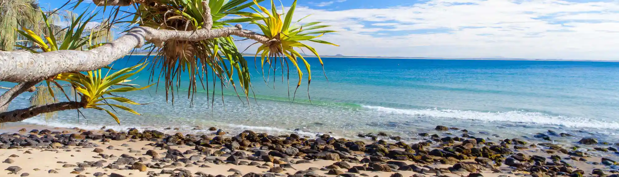 Sunshine Coast accounting news and tax updates from Holmans