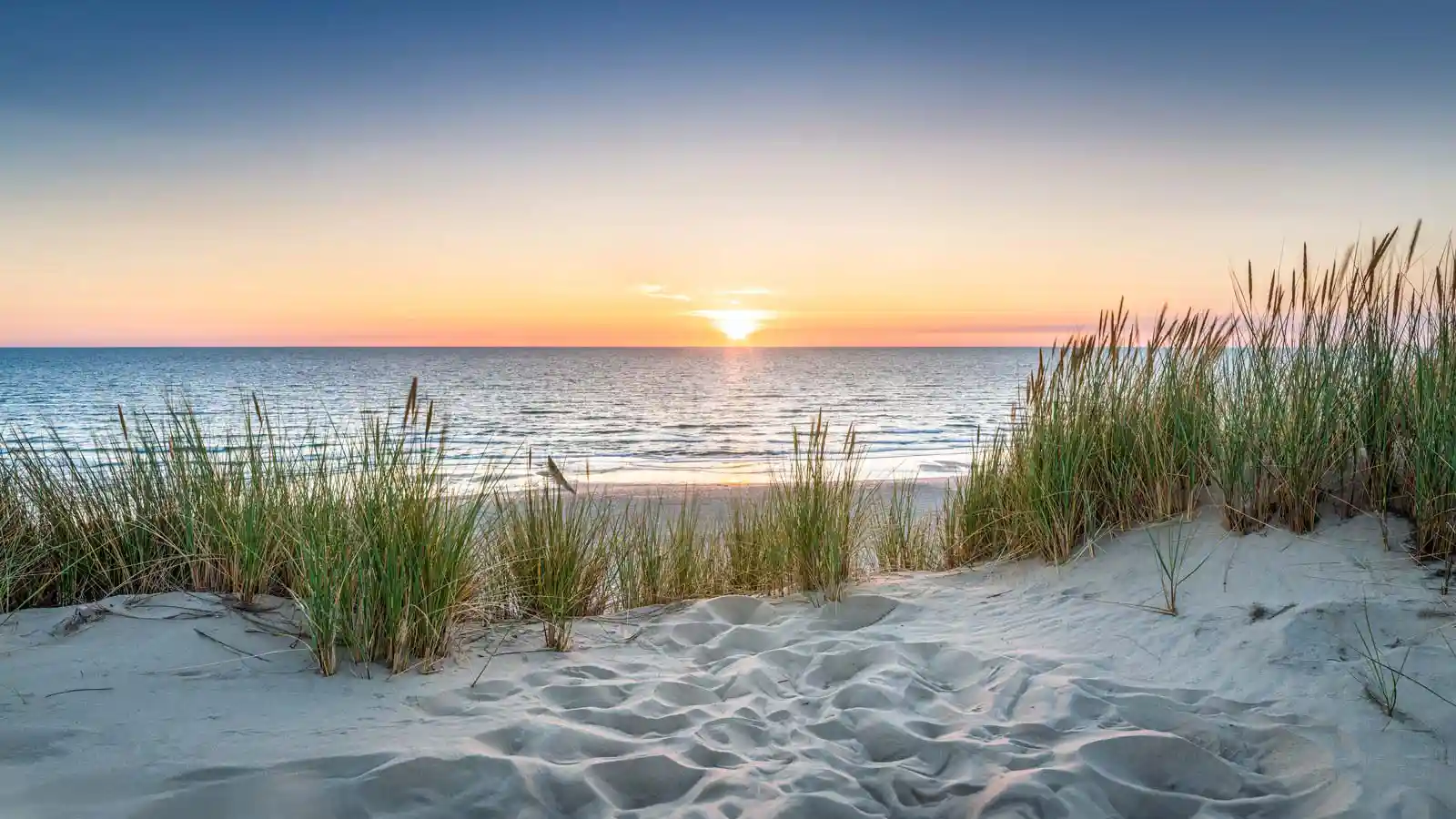 Sunshine Coast beach sunrise reflecting Holmans local advisory services